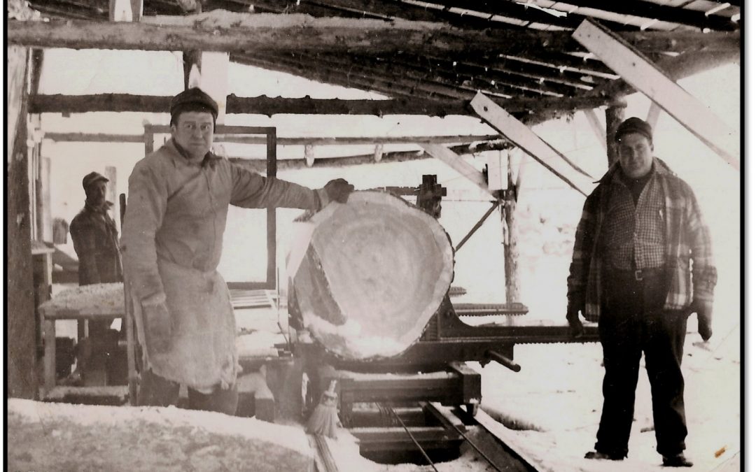 Lumber Industry in Bayfield Wisconsin