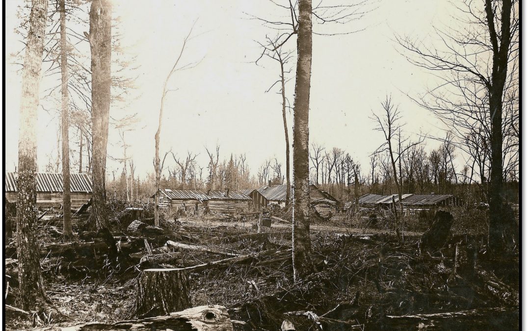 Visiting a Modern Lumber Camp – 1921